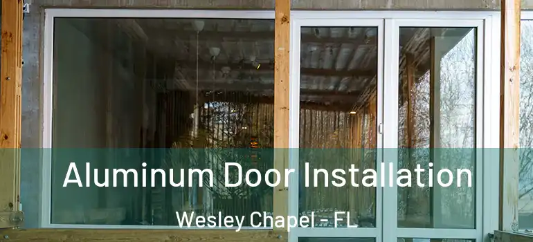  Aluminum Door Installation Wesley Chapel - FL