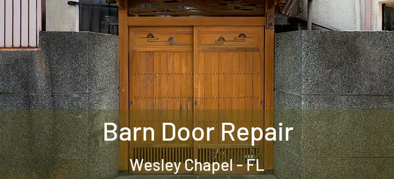  Barn Door Repair Wesley Chapel - FL