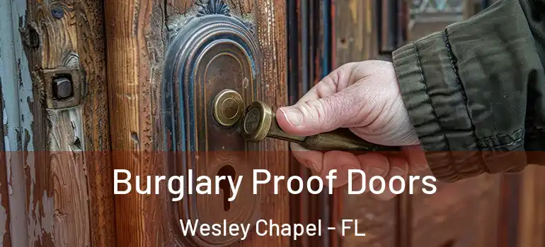  Burglary Proof Doors Wesley Chapel - FL