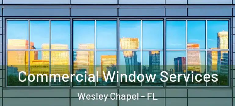  Commercial Window Services Wesley Chapel - FL
