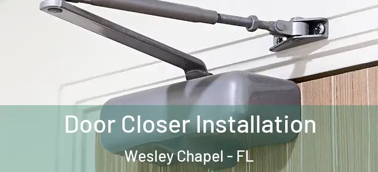 Door Closer Installation Wesley Chapel - FL
