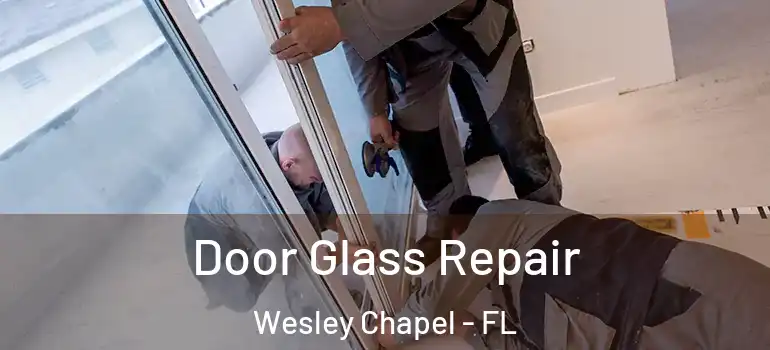  Door Glass Repair Wesley Chapel - FL