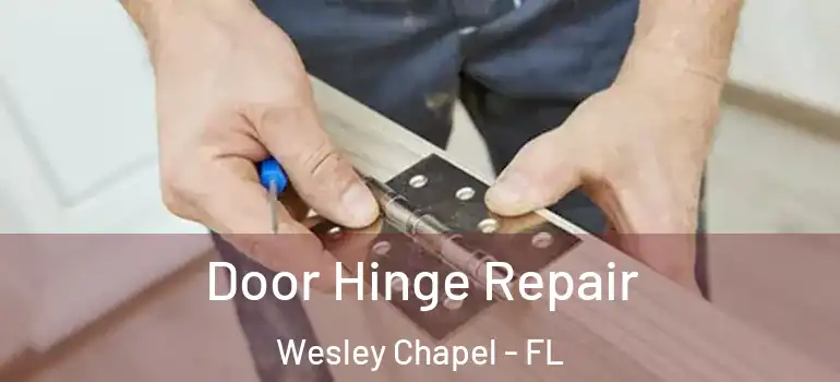  Door Hinge Repair Wesley Chapel - FL