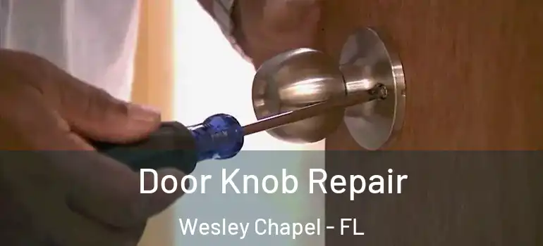  Door Knob Repair Wesley Chapel - FL