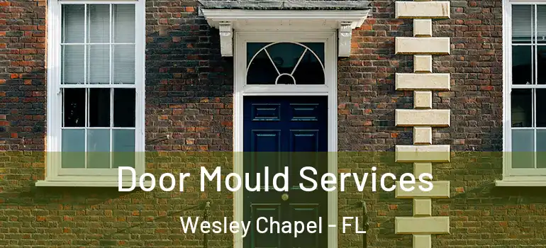  Door Mould Services Wesley Chapel - FL