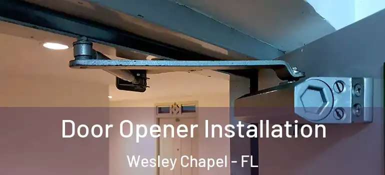  Door Opener Installation Wesley Chapel - FL