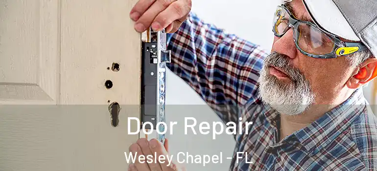  Door Repair Wesley Chapel - FL