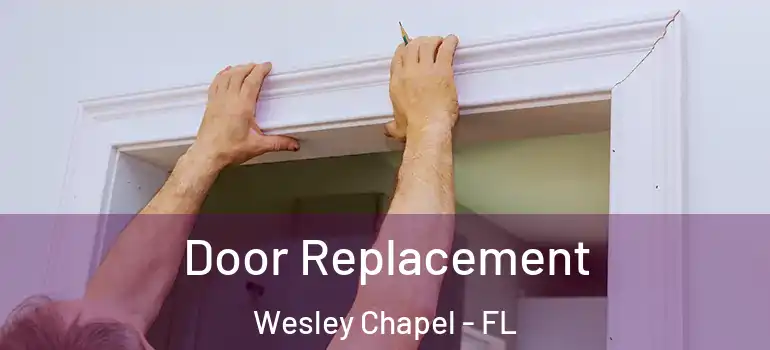  Door Replacement Wesley Chapel - FL