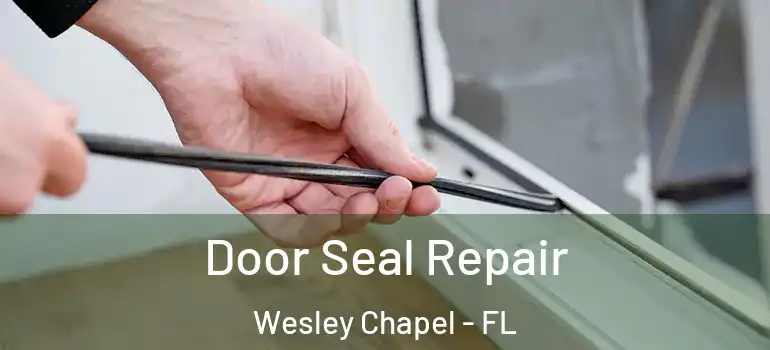  Door Seal Repair Wesley Chapel - FL