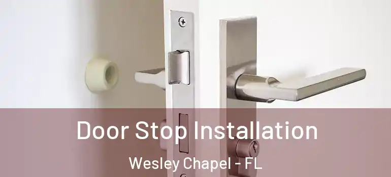  Door Stop Installation Wesley Chapel - FL