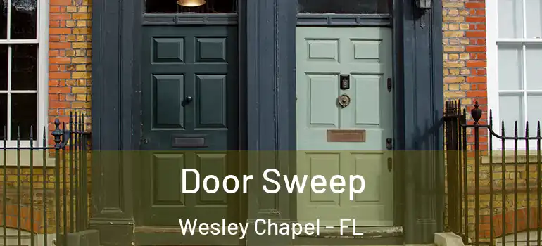  Door Sweep Wesley Chapel - FL