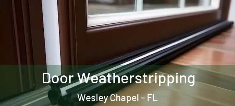  Door Weatherstripping Wesley Chapel - FL