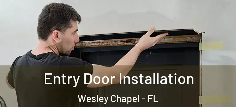  Entry Door Installation Wesley Chapel - FL