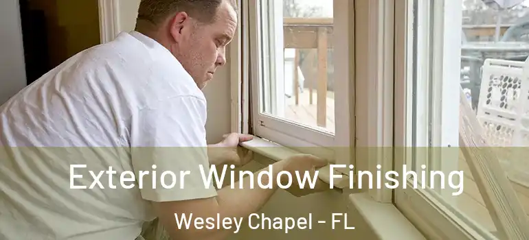  Exterior Window Finishing Wesley Chapel - FL