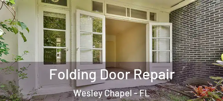  Folding Door Repair Wesley Chapel - FL