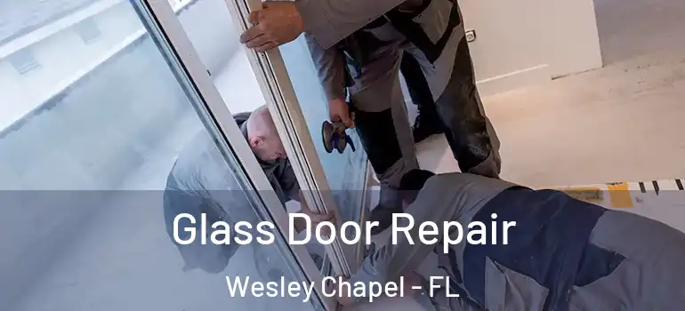  Glass Door Repair Wesley Chapel - FL