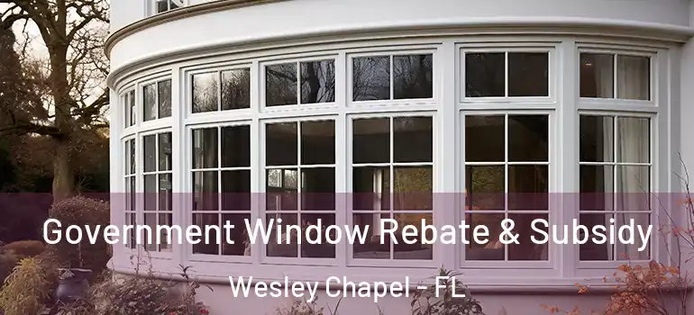  Government Window Rebate & Subsidy Wesley Chapel - FL
