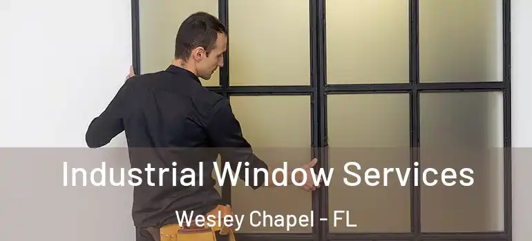  Industrial Window Services Wesley Chapel - FL