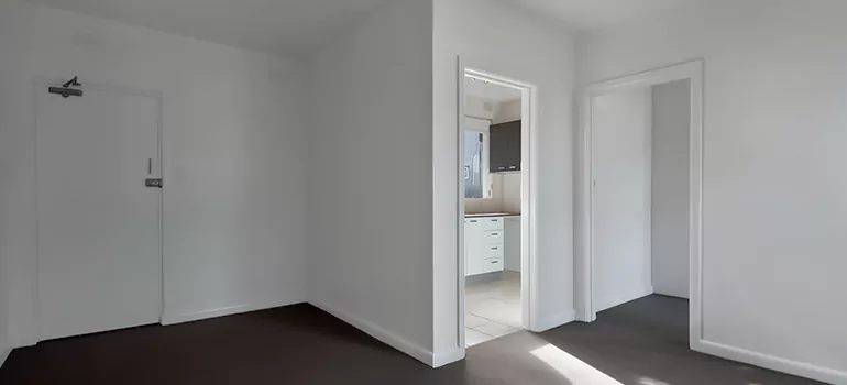 Dark Interior Doors in Wesley Chapel, FL