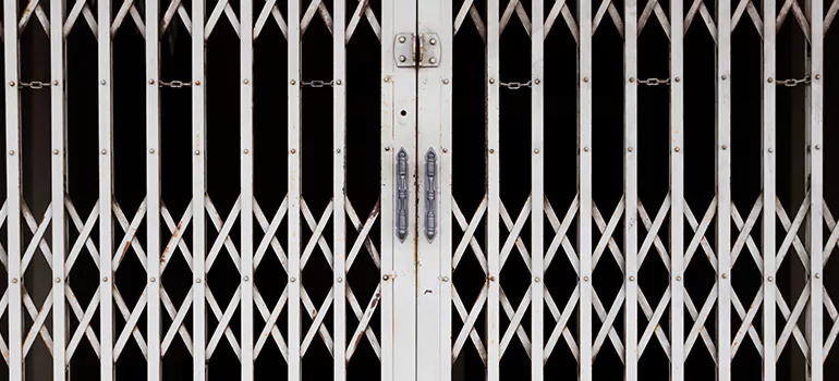 Steel Line Garage Door Repairs in Wesley Chapel, FL