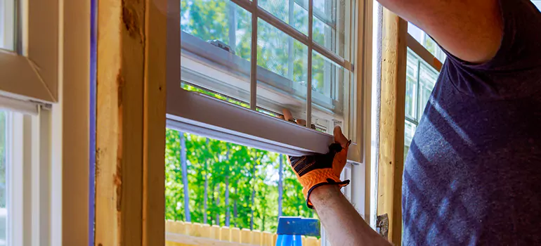 Decorative Window Film Services in Wesley Chapel, FL