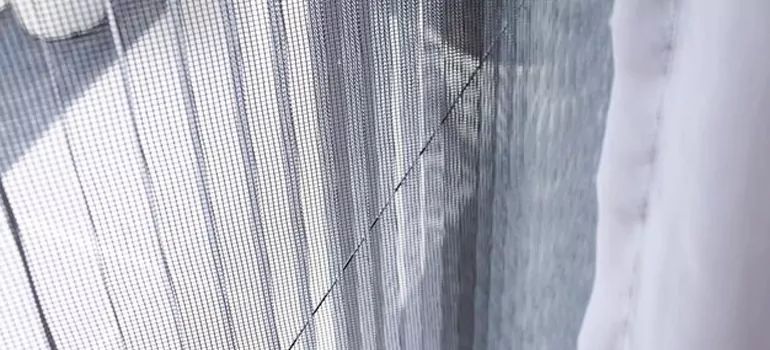Fixing Screen Window Mesh in Wesley Chapel, FL