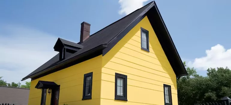 [Custom Black Windows in Wesley Chapel, FL