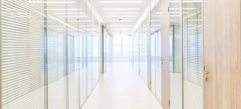 Frosted Glass Windows Replacement in Wesley Chapel, FL