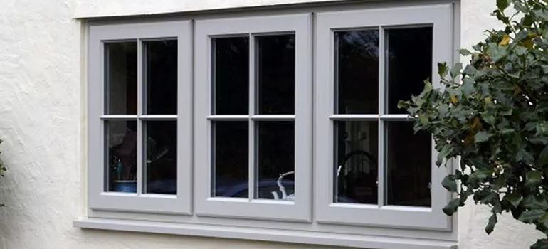 Stormproof Windows With Tinted Glass Services in Wesley Chapel, FL