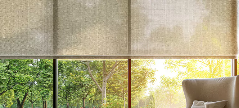 Custom Window Shades in Wesley Chapel, FL