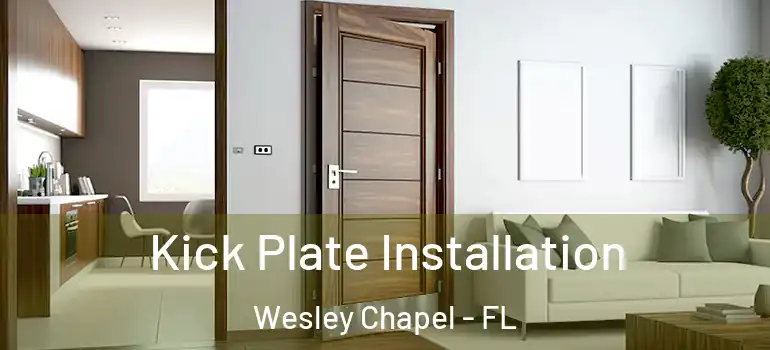  Kick Plate Installation Wesley Chapel - FL