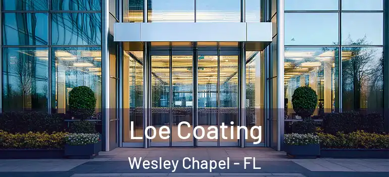  Loe Coating Wesley Chapel - FL