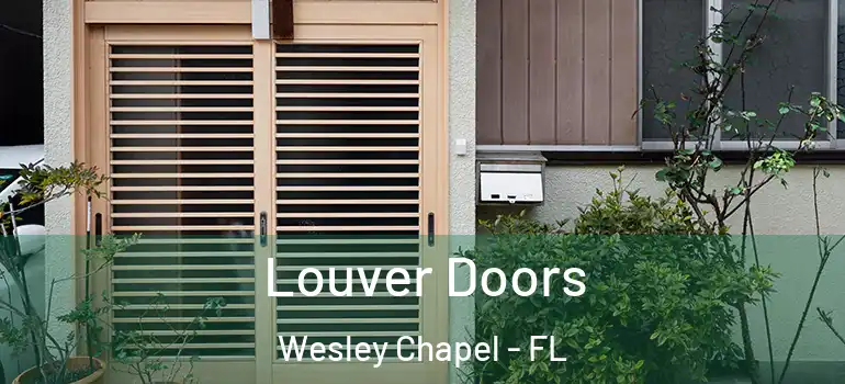  Louver Doors Wesley Chapel - FL