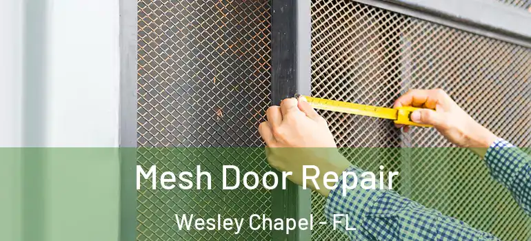  Mesh Door Repair Wesley Chapel - FL