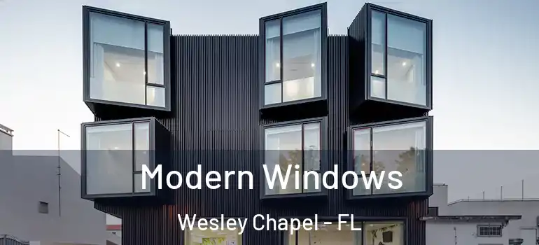  Modern Windows Wesley Chapel - FL