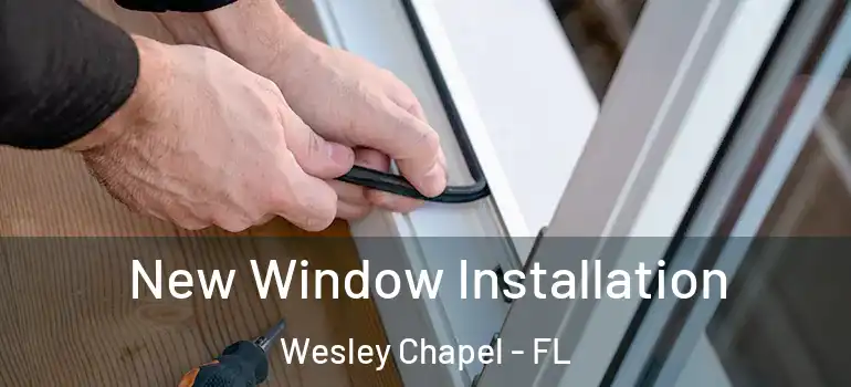  New Window Installation Wesley Chapel - FL