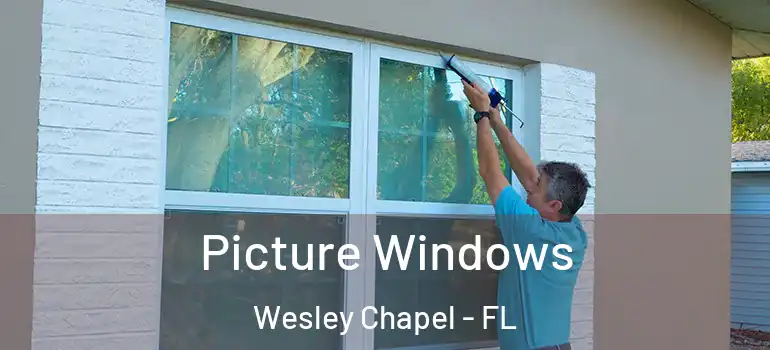  Picture Windows Wesley Chapel - FL