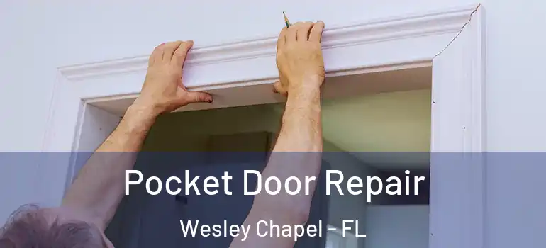  Pocket Door Repair Wesley Chapel - FL