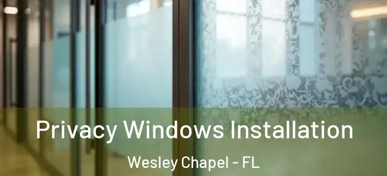  Privacy Windows Installation Wesley Chapel - FL