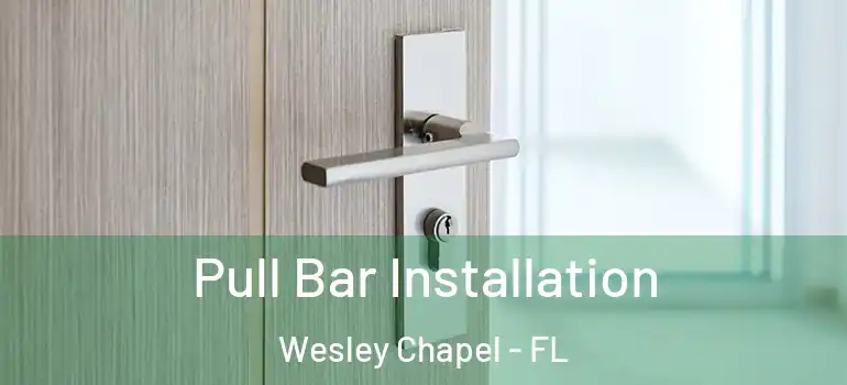  Pull Bar Installation Wesley Chapel - FL