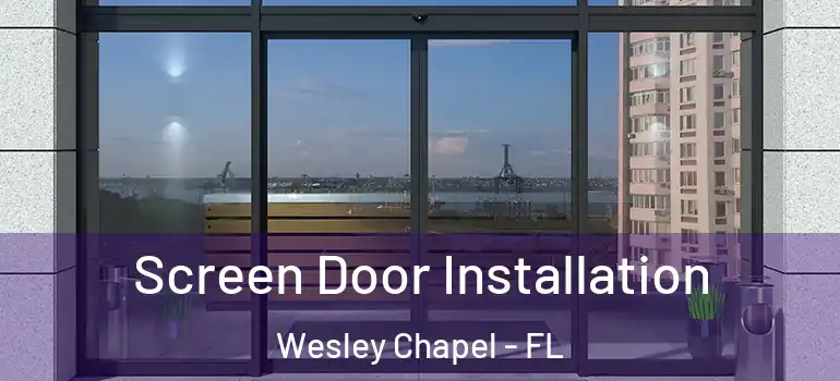  Screen Door Installation Wesley Chapel - FL