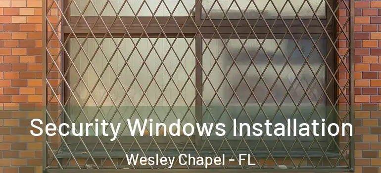  Security Windows Installation Wesley Chapel - FL