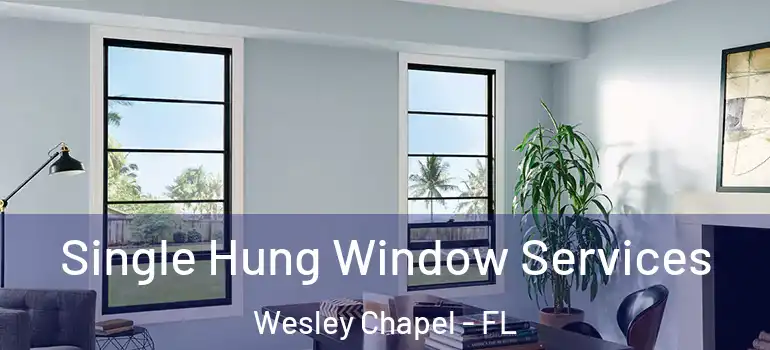  Single Hung Window Services Wesley Chapel - FL
