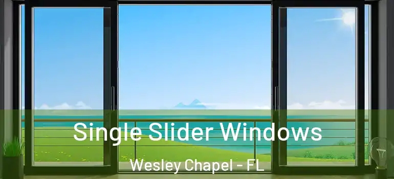  Single Slider Windows Wesley Chapel - FL