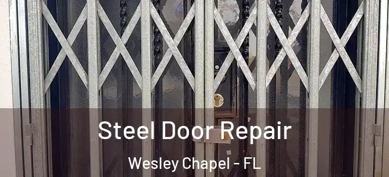  Steel Door Repair Wesley Chapel - FL