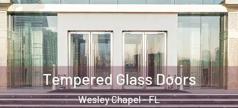  Tempered Glass Doors Wesley Chapel - FL