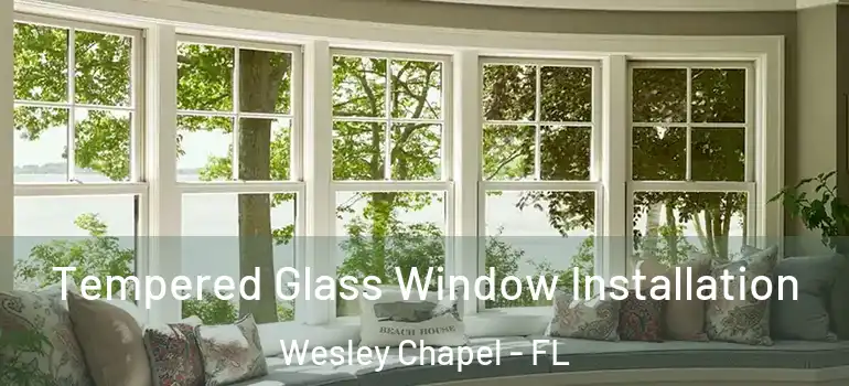  Tempered Glass Window Installation Wesley Chapel - FL