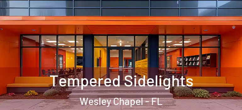  Tempered Sidelights Wesley Chapel - FL