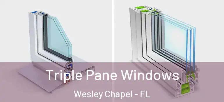  Triple Pane Windows Wesley Chapel - FL