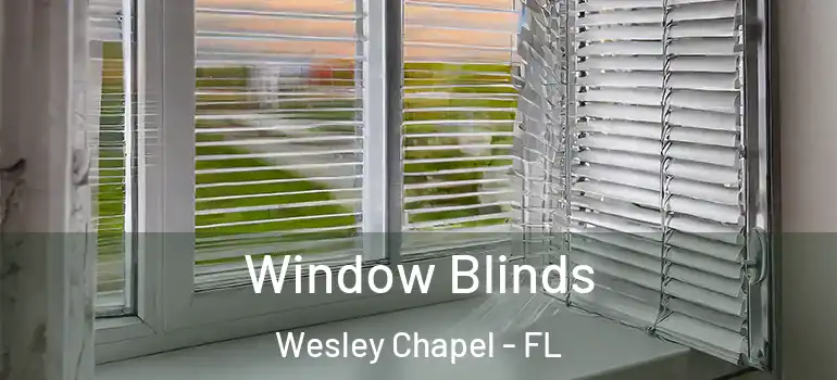  Window Blinds Wesley Chapel - FL